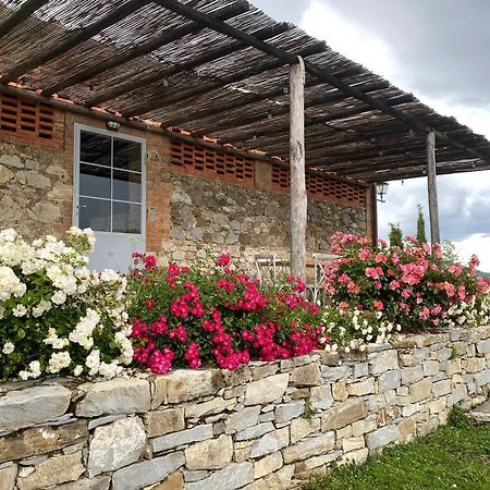 Tregole Daire Castellina in Chianti Dış mekan fotoğraf