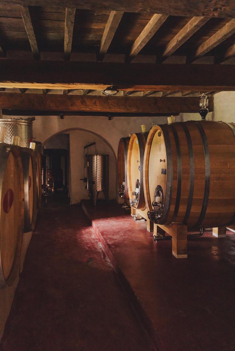Tregole Daire Castellina in Chianti Dış mekan fotoğraf